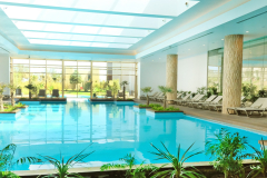 165065900_1023743548031423_1076563685431901133_n