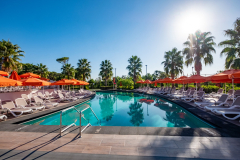 322903302_897086714640513_5097581662909495340_n